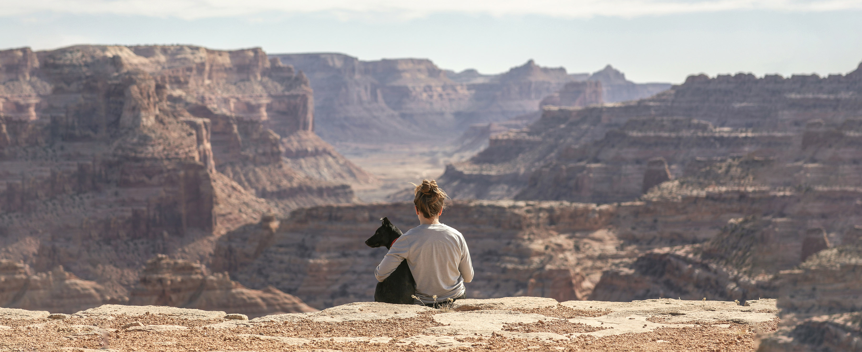 Minčių ekologija. Kuo ji svarbi?