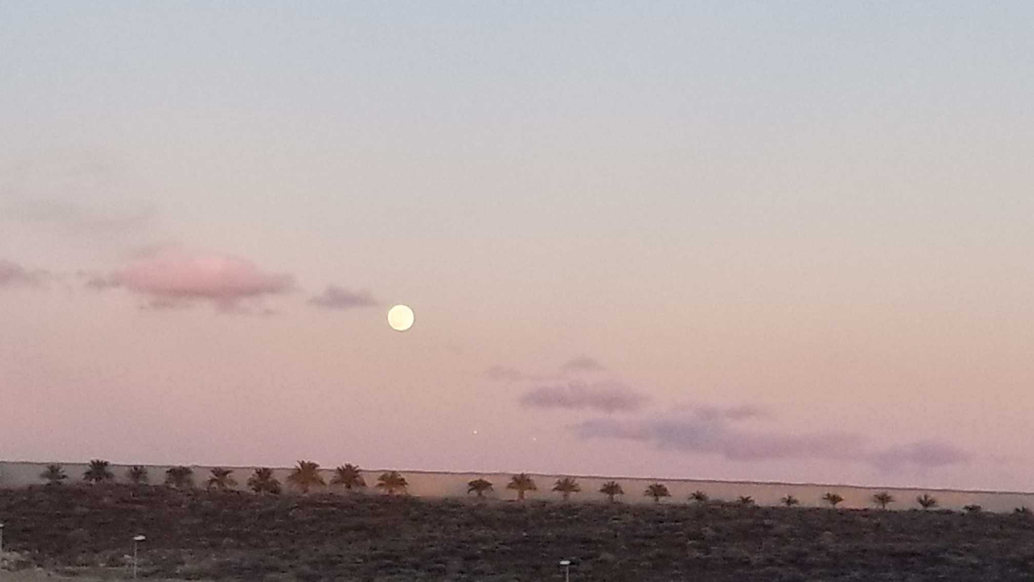 2025 metų EKADAŠIO KALENDORIUS 🌖