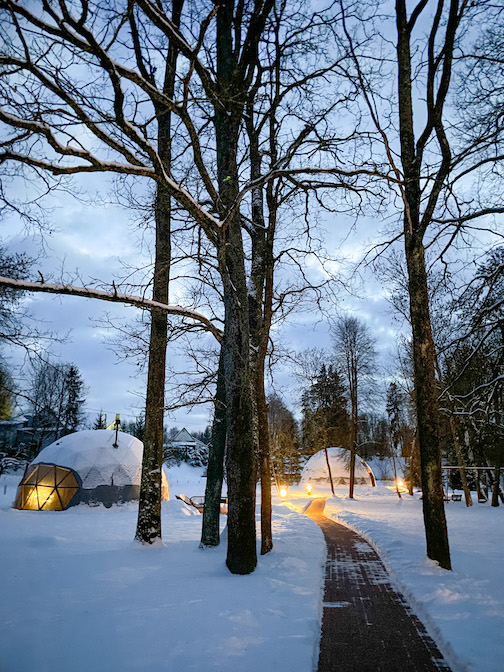 Švenčių harmonija Gamtos glėbyje 🎄