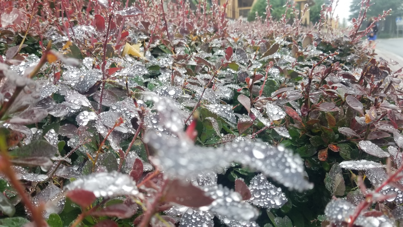 Šimtmečių žinios – jūsų sveikatai!