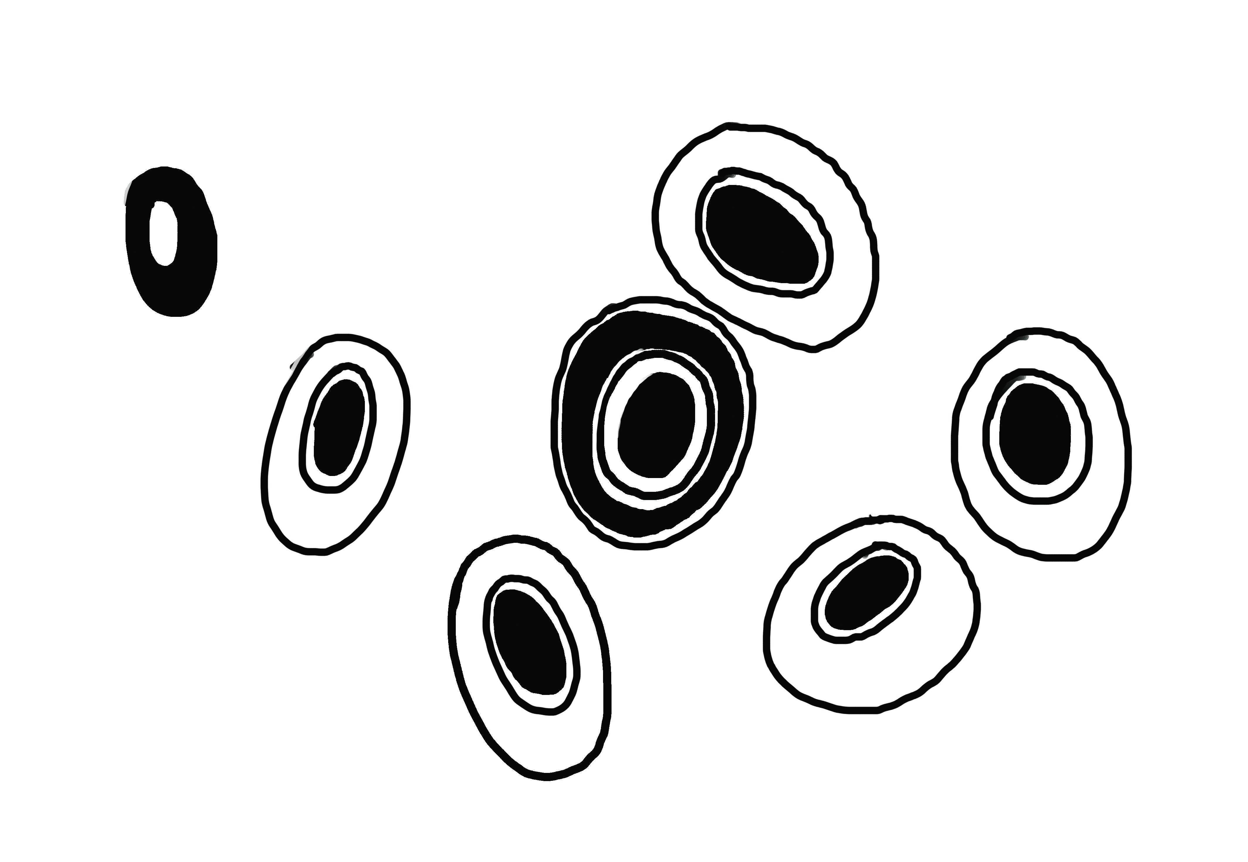 Kraują stiprinkime holistiškai